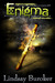 Enigma (Encrypted, #1.5) by Lindsay Buroker