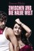 Zwischen uns die halbe Welt (How to Ruin, #2) by Simone Elkeles