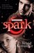 Spark (Elementals, #2) by Brigid Kemmerer