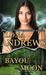 Bayou Moon (The Edge, #2) by Ilona Andrews