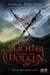 Das Licht hinter den Wolken by Oliver Plaschka