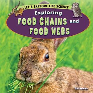 exploring food chains and food webs by ella hawley food chain vs food web venn diagram