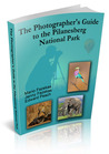 The Photographer's Guide to the Pilanesberg National Park