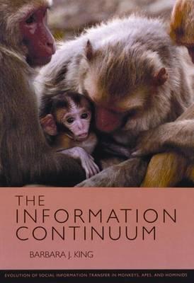 The Information Continuum Evolution Of Social Information