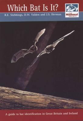 which-bat-is-it-a-guide-to-bat-identification-in-great-britain-and-ireland