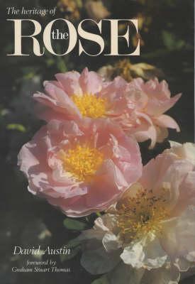 the-heritage-of-the-rose