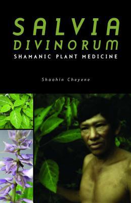 salvia-divinorum