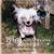 Small Dog - Big Adventure by Doug Young