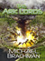 The Ark Lords (Rome's Revolution #2) by Michael Brachman