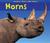 Horns by Rebecca Rissman
