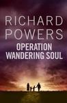 Operation Wandering Soul cover