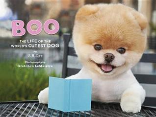 boo-the-life-of-the-world-s-cutest-dog