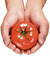 Raising Godly Tomatoes by L. Elizabeth Krueger
