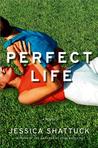 Perfect Life cover