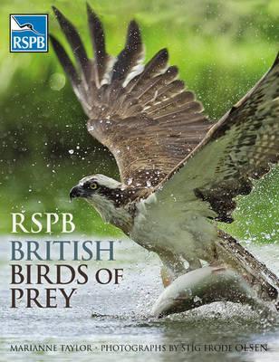 rspb-british-birds-of-prey
