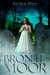 The Mist on Bronte Moor by Aviva Orr