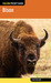 Bison by Jack Ballard