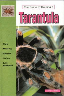 the-guide-to-owning-a-tarantula