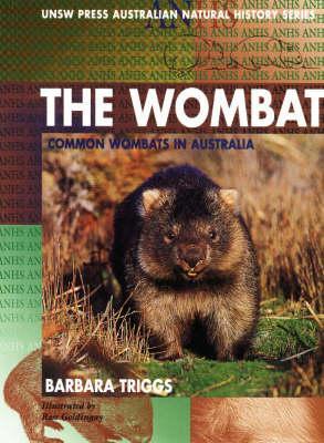 the-wombat-common-wombats-in-australia
