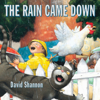 the-rain-came-down