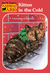 Kitten in the Cold (Animal Ark: Holiday Special, #2)