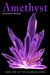Amethyst (Guardian, #1) by Heather Bowhay