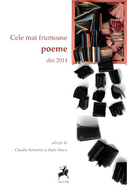 cele-mai-frumoase-poeme-din-2011