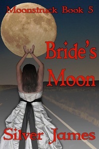 bride-s-moon