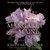 Margaret from Maine by Joseph Monninger