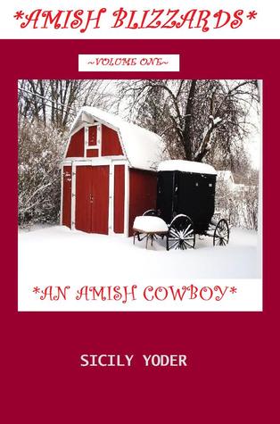 an-amish-cowboy