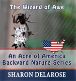 the-wizard-of-awe-an-acre-of-america-backyard-nature-series