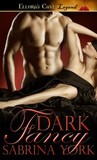 Dark Fancy cover