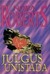 Julgus unistada (Dream Trilogy #1) by Nora Roberts