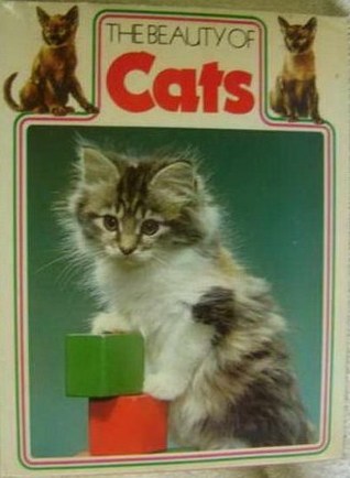 the-beauty-of-cats