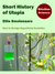 Short History of Utopia: How to Design Superficial Societies