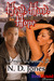 Heat, Hunt, Hope (Winged Warriors #2) by N.D. Jones