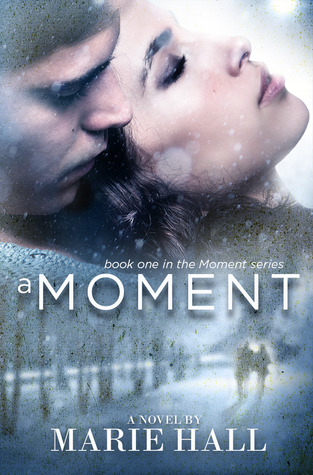 A Moment (Moments Series Book 1)
