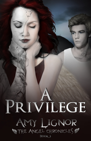 A Privilege (The Angel Chronicles, #3)
