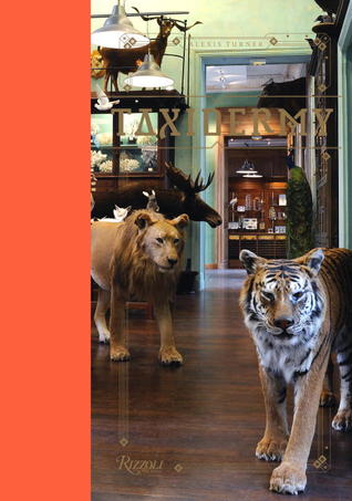 taxidermy