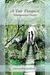 Disappointed Hopes (A Fair Prospect, #1) by Cassandra Grafton
