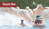 Coyote Run cover