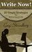 Write Now! 20 Simple Strategies for Successful Writing by Greg Strandberg