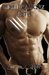 Leto (Skin Walkers, #6) by Susan A. Bliler