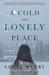 A Cold and Lonely Place (Troy Chance, #2) by Sara J. Henry
