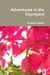 Adventures in the Courtyard by Suzzette Dawes