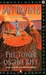 The Tower on the Rift (The View from the Mirror, #2) by Ian Irvine
