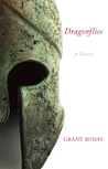 Dragonflies cover