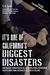 It's One of California's Biggest Disasters How Massive Corruption in the California Parole Department Creates More Crime and Wastes Billions of Dollars by S B Turner