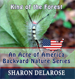king-of-the-forest-an-acre-of-america-backyard-nature-series-volume-3
