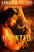 Haunted Knights (Montbryce The Next Generation #2) by Anna Markland
